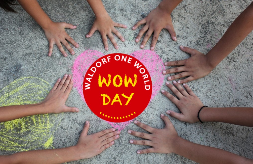 WOW-Day